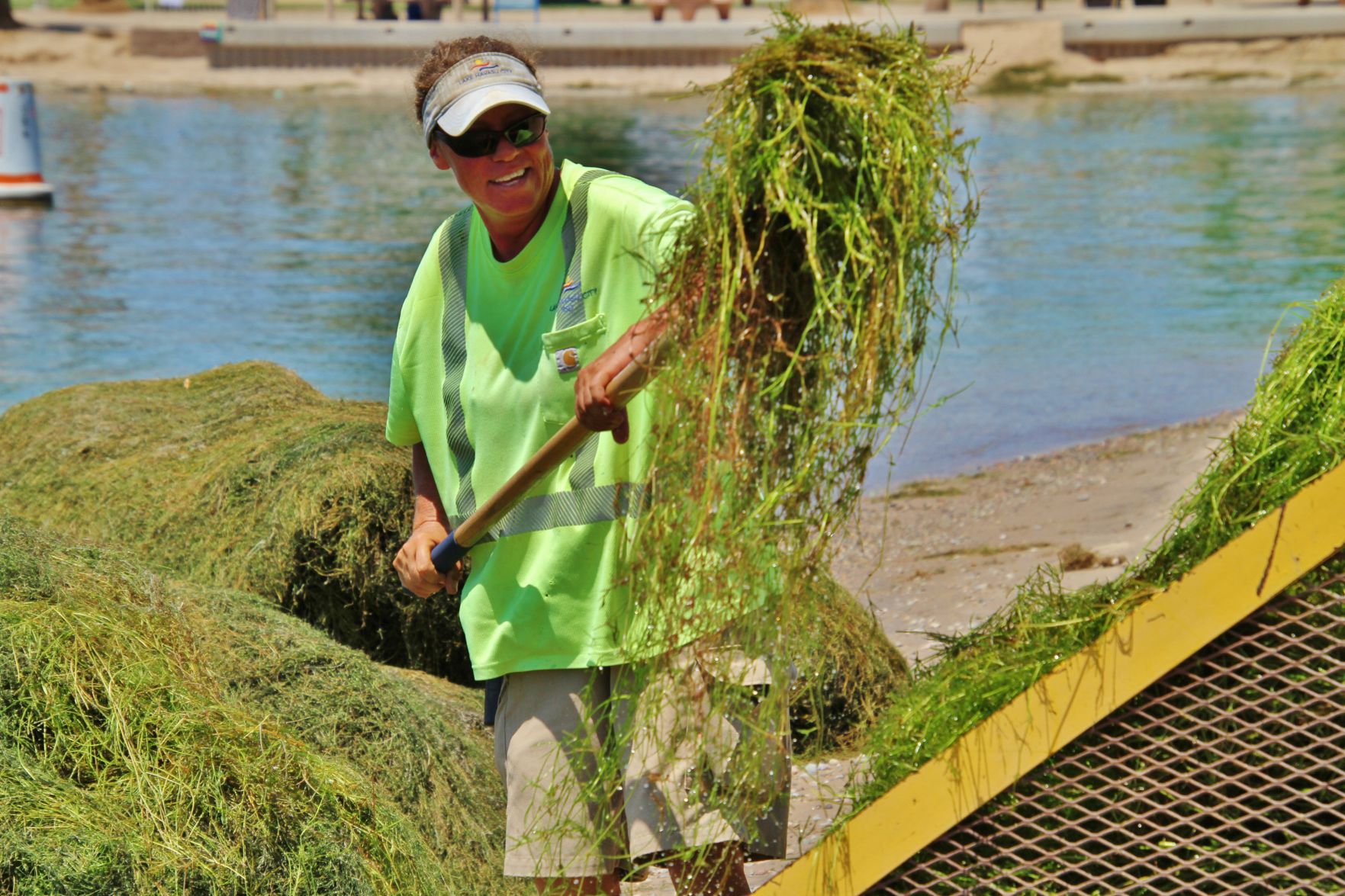 Seen in Havasu: Pitching in to remove seagrass from Lake Havasu